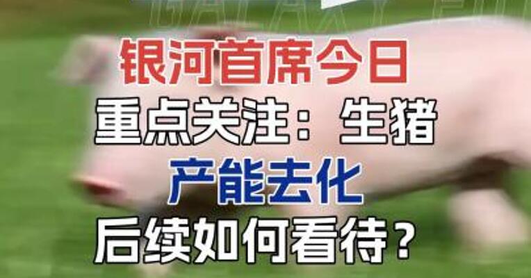 生猪产能去化，后续如何看待？