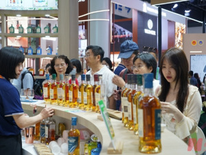 超40个项目遍地开花，市场上产品却不多见 威士忌“国产时代”何时到来？