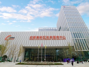 “一个窗口、三方连线、两地通办” 成渝高新区“虚拟综窗”实现成渝跨省异地办事