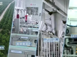 小坚果走向大世界，洽洽入选“2024外国人喜爱的中国品牌”