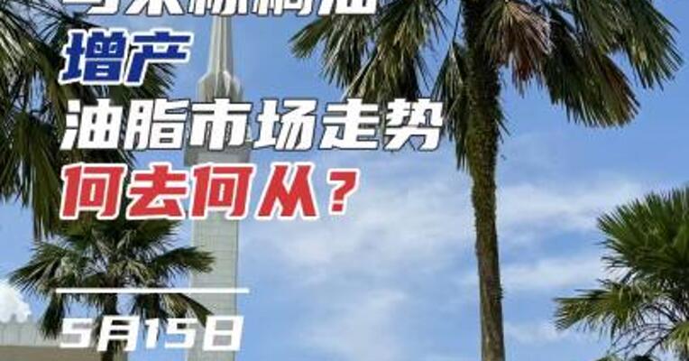 马来棕榈油增产，油脂市场走势何去何从？