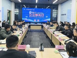 成都新津区打造一批特色营商环境创新应用场景