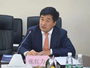 张红力，被逮捕！