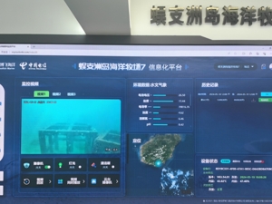 蜈支洲岛海域已修复3.5万多株珊瑚，修复面积近5万平方米