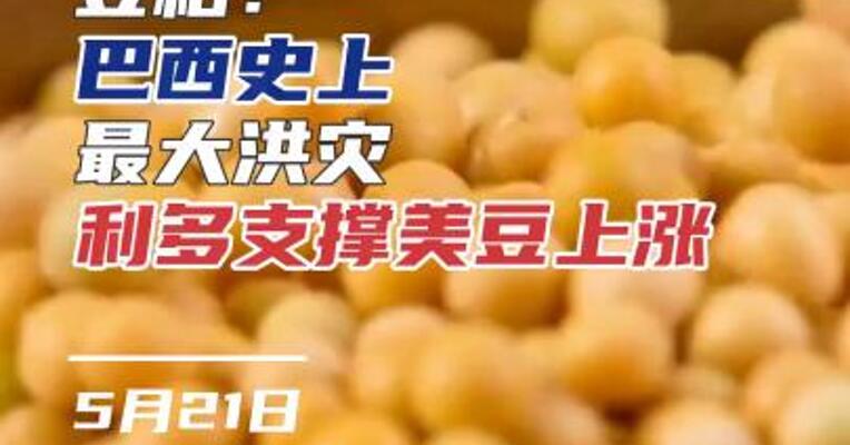 豆粕：巴西史上最大洪灾 利多支撑美豆上涨