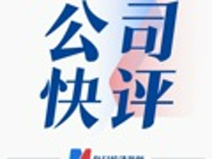 公司快评｜*ST洪涛两份回复内容存差异，是否借信披“拉抬”股价？