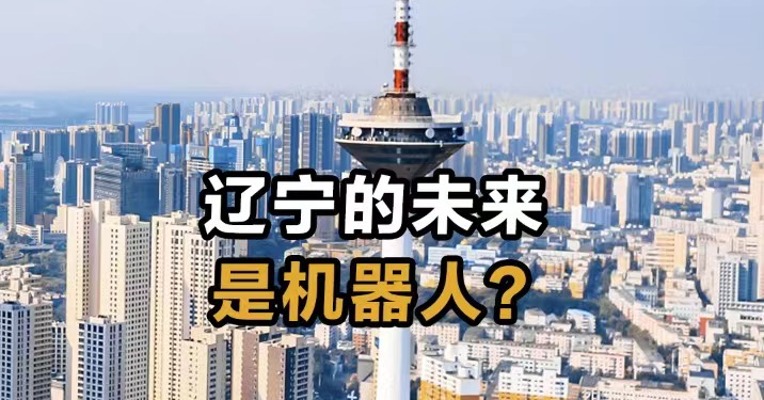 辽宁的未来是机器人？