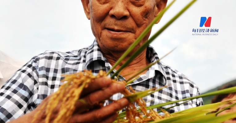 “风吹过稻田，我就想起您”缅怀袁隆平！