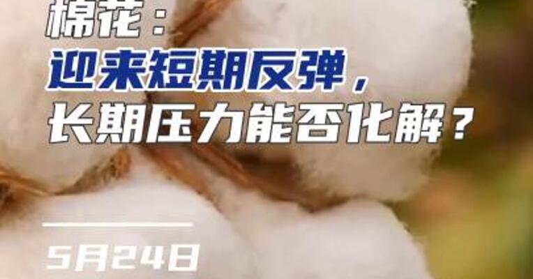 棉花：迎来短期反弹，长期压力能否化解？