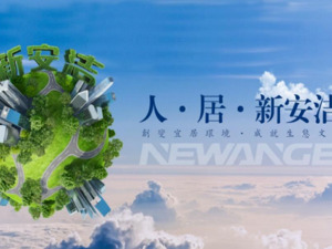 新安洁回复年报问询函：航空地面服务仍处市场拓展阶段，洪九果品股价大跌持续拖累业绩