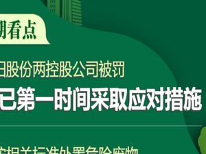A股绿色周报｜7家上市公司暴露环境风险 华阳股份两家控股公司被罚，公司：已制定整改方案