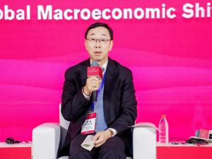 国际清算银行亚太区首席代表张涛：科技会带来更多的挑战，央行必须要保持灵活性和谨慎性