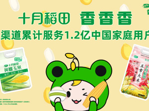插秧节原产地溯源，源头解锁十月稻田香香香品质密码！