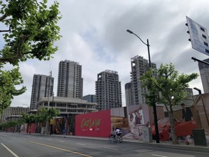 “手里全套认购材料没出过问题”，但如今网上预约始终卡在“待审核”，宸嘉发展上海新盘认购惹争议，回应“不存在超越权限的问题”