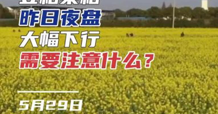 豆粕菜粕大幅下行 需要注意什么？