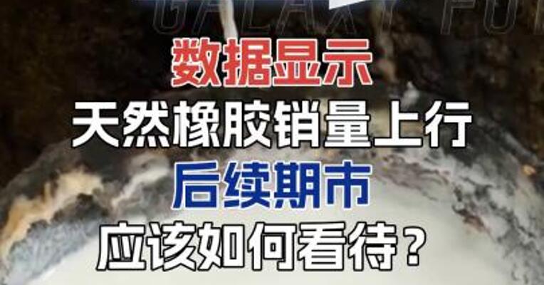数据显示天然橡胶销量上行 后续期市应该如何看待？