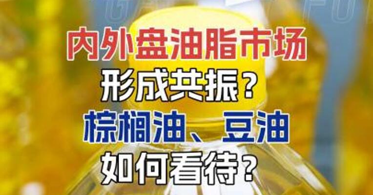 内外盘油脂市场形成共振？棕榈油、豆油如何看待？