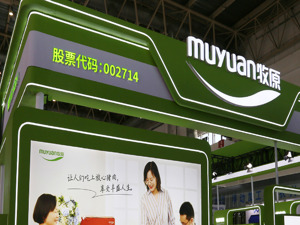 观察丨熬过“寒冬”，猪企“幸存派”有共识：缩表