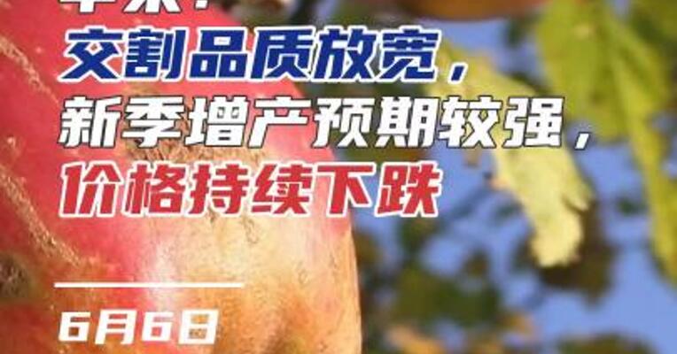 苹果：交割品质放宽，新季增产预期较强，价格持续下跌