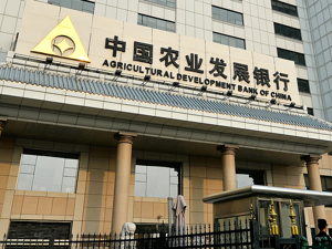 女子举报前公公巨额财产来源不明，购买上千万元别墅！农发行湖北分行回应：被举报人系退休员工