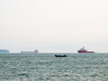 安理会通过加沙停火决议 海运巨头股价跌停，反应过度还是拐点已至？