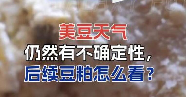 美豆天气仍然有不确定性，后续豆粕怎么看？