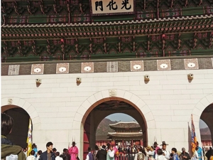 出生率下降，韩国宠物市场规模超过婴儿市场！全国总和生育率去年仅0.72，今年小学新生数量或不足40万