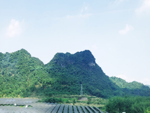正泰安能IPO：卖电站大幅催升业绩，还有200亿元电站资产待出售 