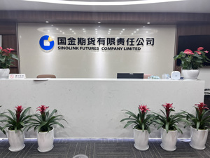国金期货：专业、高效、可靠助力金融强国战略