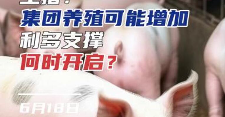 生猪：集团养殖可能增加，利多支撑何时开启？