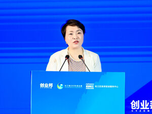 新质引领、创变未来，2024 DEMO WORLD上海松江开幕
