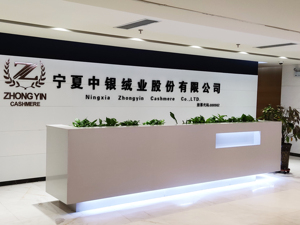 观察 | 中银绒业或成深市年内首家非ST退市股：是跨界经营不善的无奈，还是新能源故事没“圆上”？