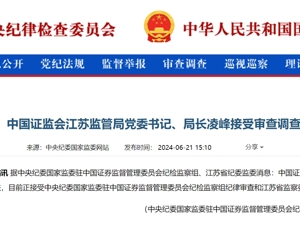 最新！凌峰被查