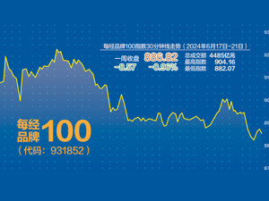 每经品牌100指数跌0.96% 港股科技类表现突出