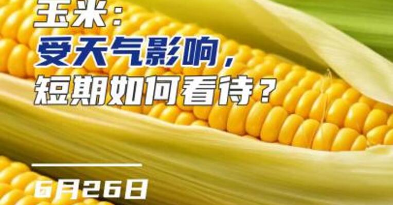 玉米：受天气影响，短期如何看待？