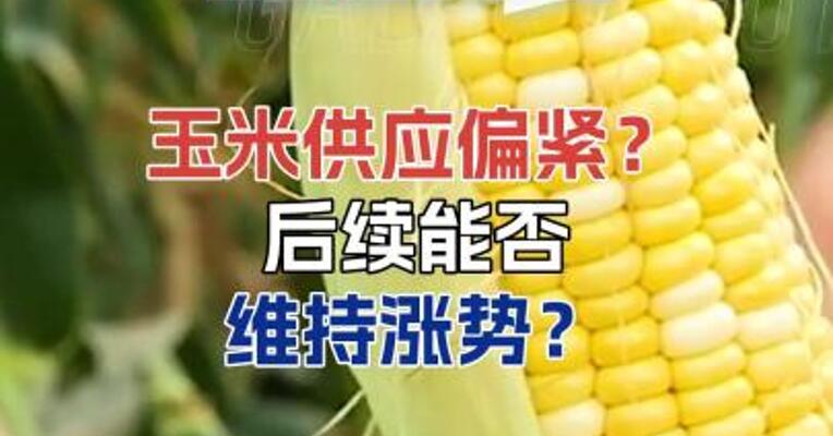 玉米供应偏紧？后续能否维持涨势？
