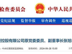 最新！张旭被开除党籍