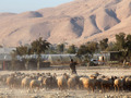 以色列宣布没收约12平方公里巴勒斯坦土地！伊朗谴责：这是非法盗窃行为