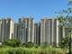 Ctwpraoord1720094172774.thumb_hs