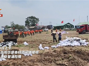 湖南华容团洲垸“第二道防线”突发管涌险情，专家：暂时得到初步控制
