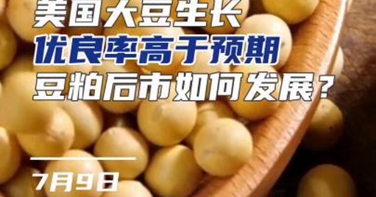 美国大豆生长优良率高于预期，豆粕后市如何发展？