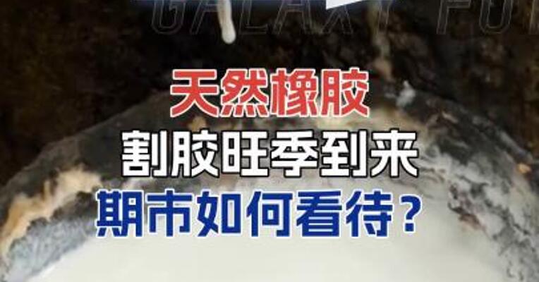 天然橡胶割胶旺季到来，期市如何看待？