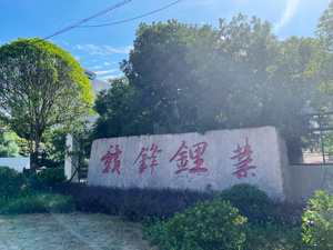 30万户股东领“红包”！500亿市值锂矿龙头，大手笔：拟分红12.9亿元