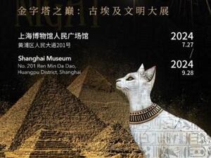 暑期上海博物馆预订量同比大增371% 携程：博物馆奇“喵”夜首场携宠名额1秒被抢光