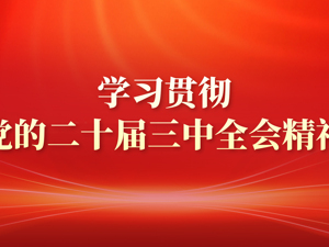 专题丨学习贯彻党的二十届三中全会精神