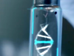 热搜！全球第七位艾滋病治愈者出现？HIV专家透露这一重要信息