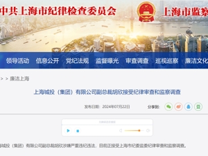 世界五百强企业公告：副董事长被查！