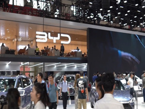 事关浙A号牌，杭州公开征求意见！拟放宽“久摇不中”申请条件