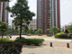 29525789.thumb_hs