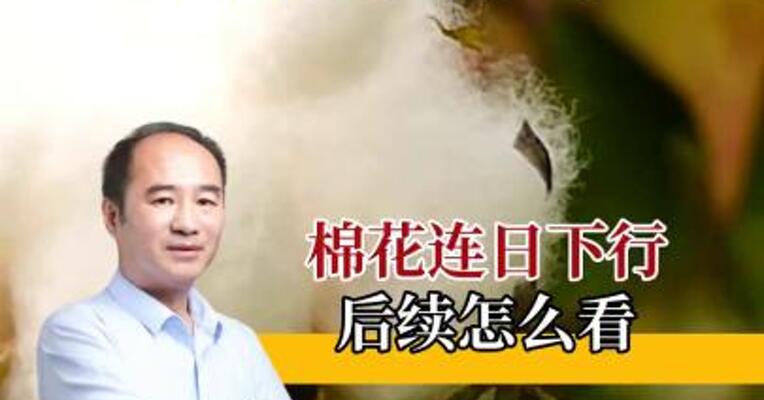 棉花供大于求，连日下行，会反弹吗？